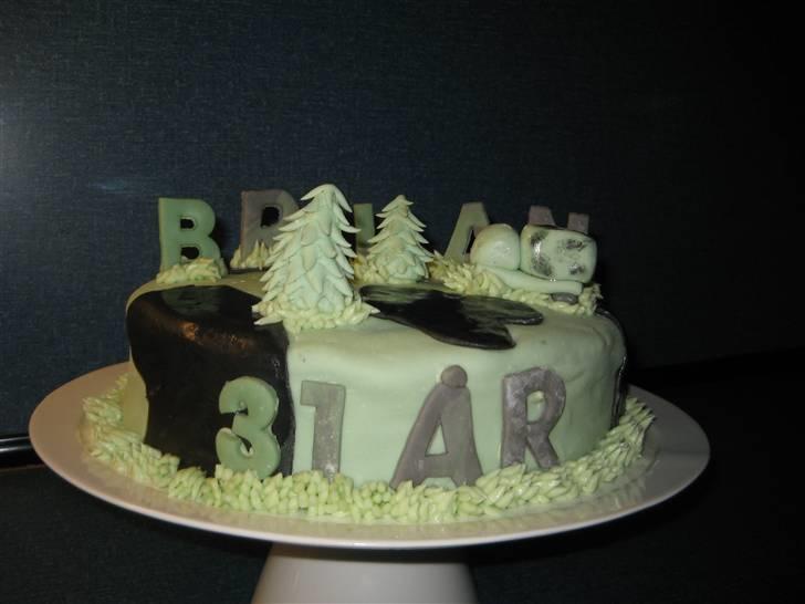 Kager - Lavet til min kærestes 31års fødselsdag - Han er med i Hjemmeværnet , der for den sort/grønne kage :-) billede 13