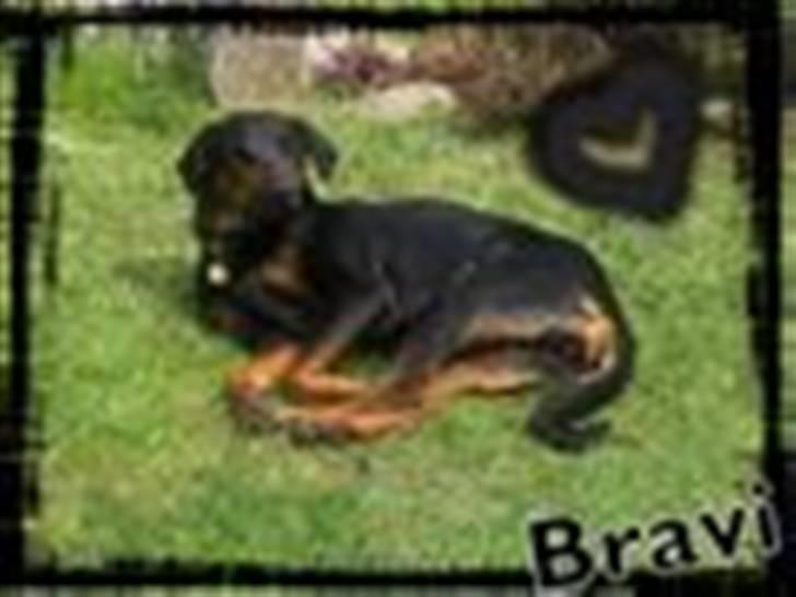 Tegninger / billeder som er lavet til mig - Bravi / Lavet af Team Glarbo billede 4