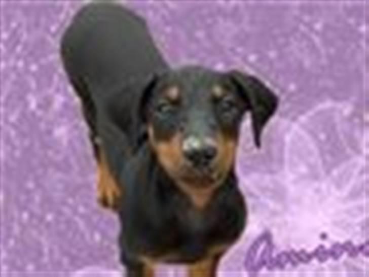 Tegninger / billeder som er lavet til mig - Amina / lavet af Team Glarbo billede 5