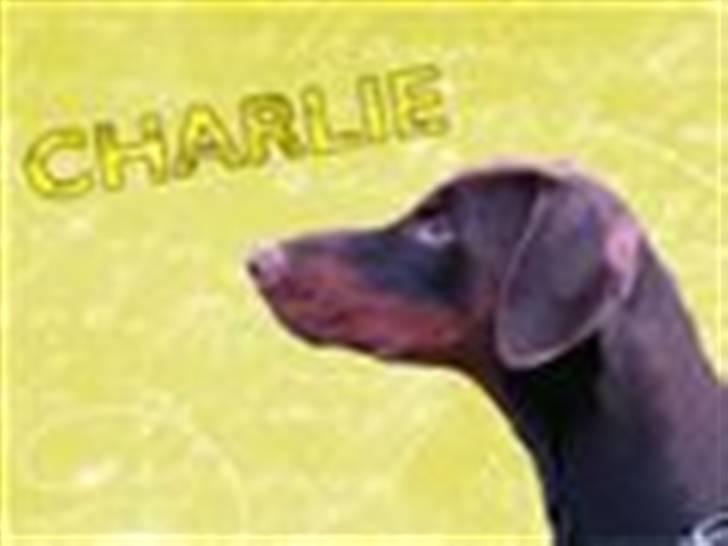 Tegninger / billeder som er lavet til mig - Charlie / Lavet af Team Glarbo billede 8