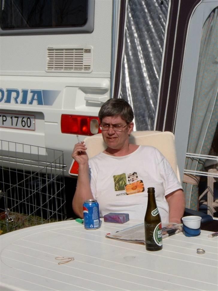 Hund som ejer - 8 billede 8