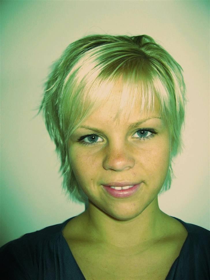 Hund som ejer - 13 billede 13