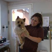 Billeder fra salonen