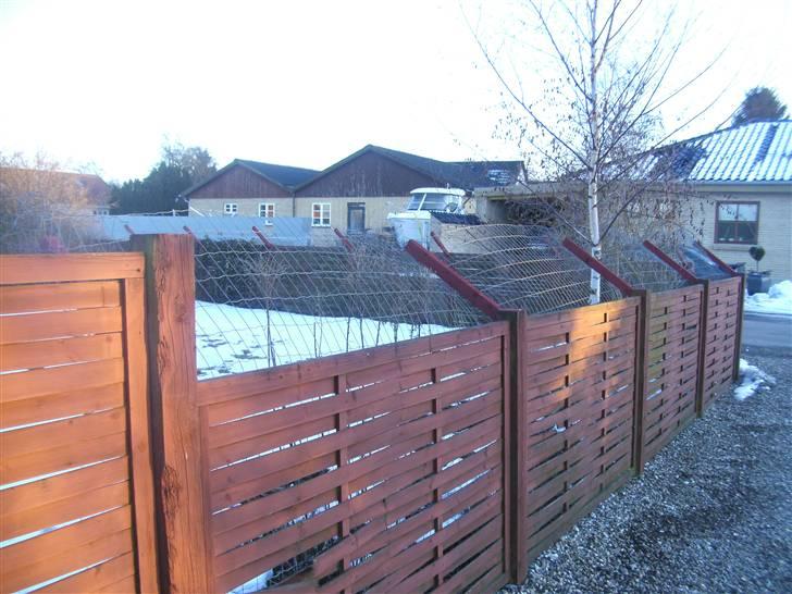 Hegn i haven billede 3