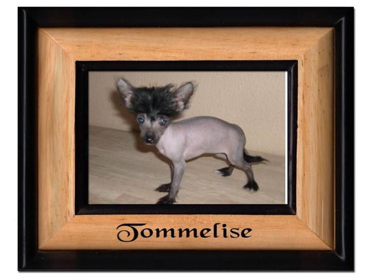 {{currentPhoto.altText}} billede {{currentPhoto.number}}