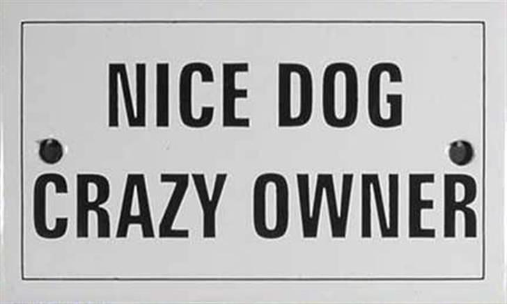 Diverse fjollerier - billede 15