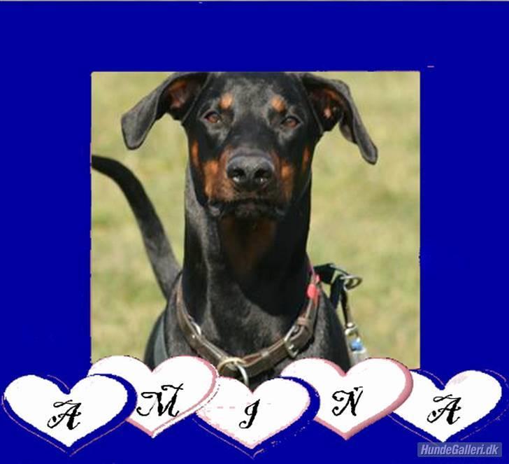 Tegninger / billeder som er lavet til mig - Amina / Lavet af Dorthe S billede 9