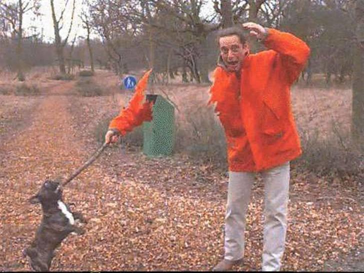 Diverse fjollerier - billede 16