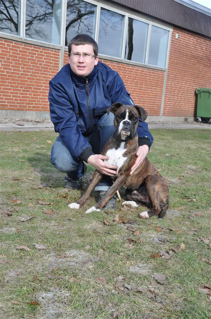 DDH udstilling d 13.03.10 billede 68