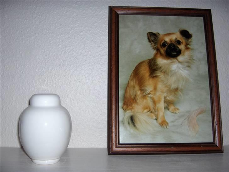 Vi ses igen..... billede 2