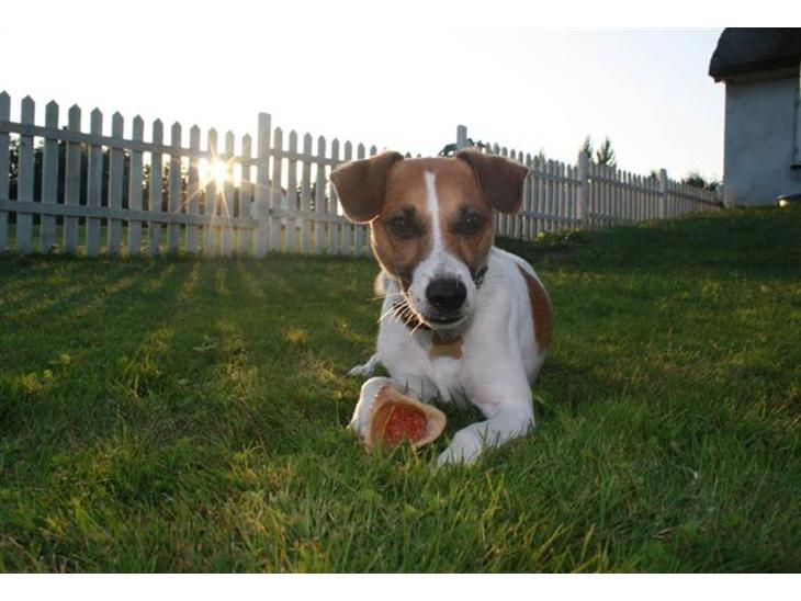 {{currentPhoto.altText}} billede {{currentPhoto.number}}