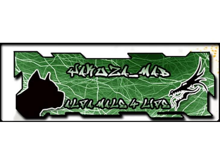 {{currentPhoto.altText}} billede {{currentPhoto.number}}