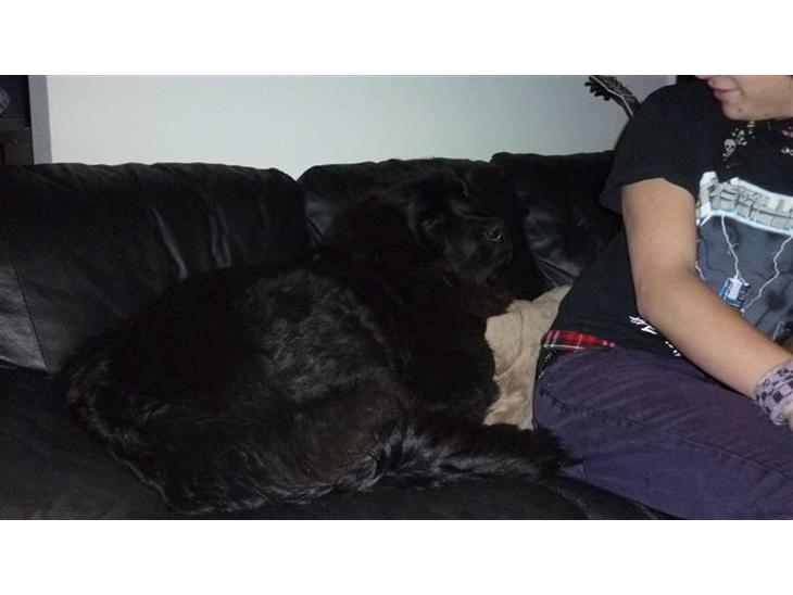 {{currentPhoto.altText}} billede {{currentPhoto.number}}