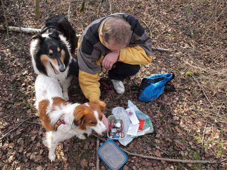 Geocaching i Ølsted bakker billede 8