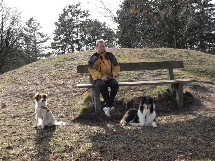 Geocaching i Ølsted bakker billede 14