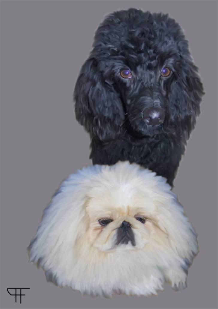 Tegninger af andres hunde - Benja og Nicolaj. billede 301