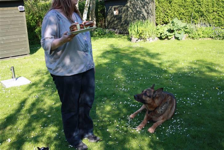 Simba 10 års fødselsdag  - Hvad så simba er du klar til kage billede 15