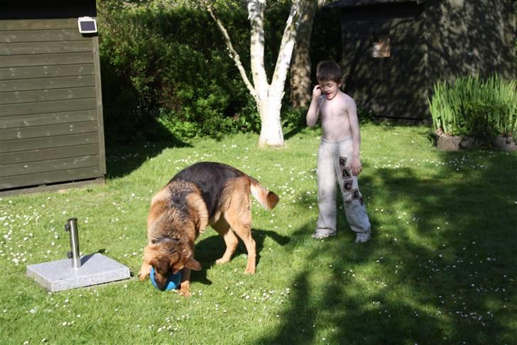Simba 10 års fødselsdag  - Matias og simba i bold kamp billede 33