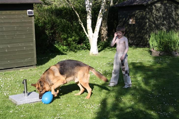 Simba 10 års fødselsdag  billede 34