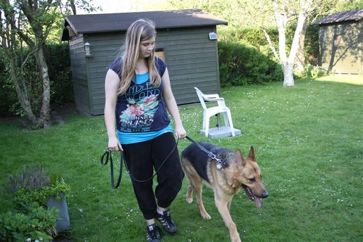 Simba 10 års fødselsdag  - Nadia og bondo sku lige træne lidt billede 42