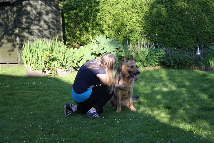 Simba 10 års fødselsdag  billede 44