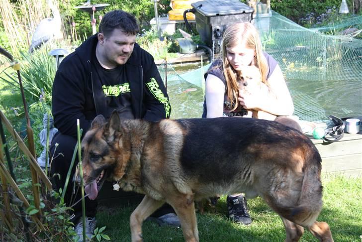 Simba 10 års fødselsdag  - Hygge i haven billede 46