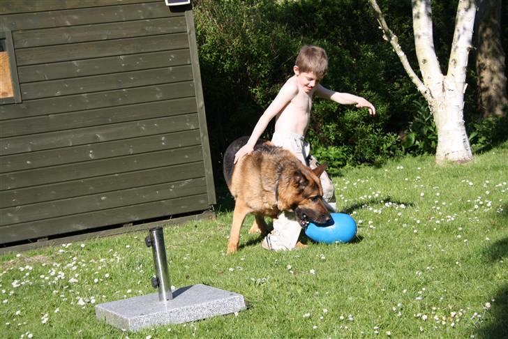 Simba 10 års fødselsdag  billede 50