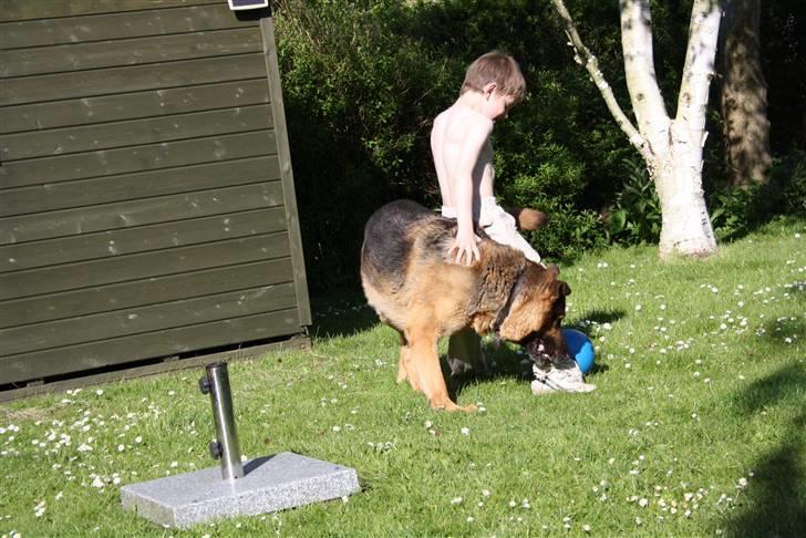 Simba 10 års fødselsdag  billede 51