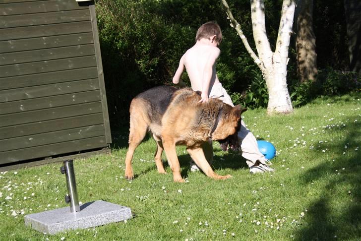 Simba 10 års fødselsdag  billede 52