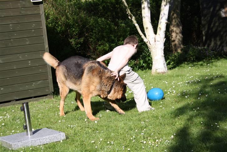 Simba 10 års fødselsdag  billede 53