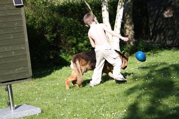 Simba 10 års fødselsdag  billede 54