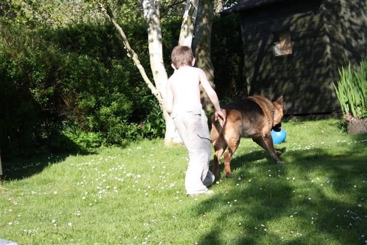 Simba 10 års fødselsdag  billede 55