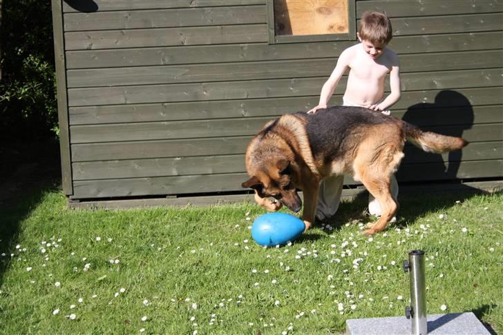 Simba 10 års fødselsdag  billede 56