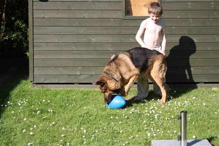 Simba 10 års fødselsdag  billede 57