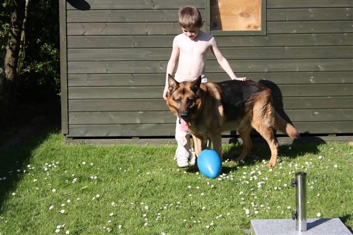 Simba 10 års fødselsdag  billede 58