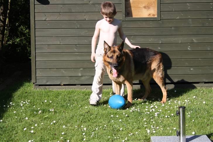 Simba 10 års fødselsdag  billede 59