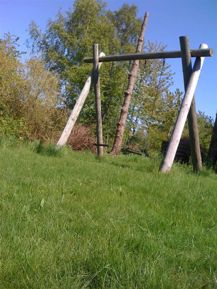 Pinsen i sommerhus billede 8