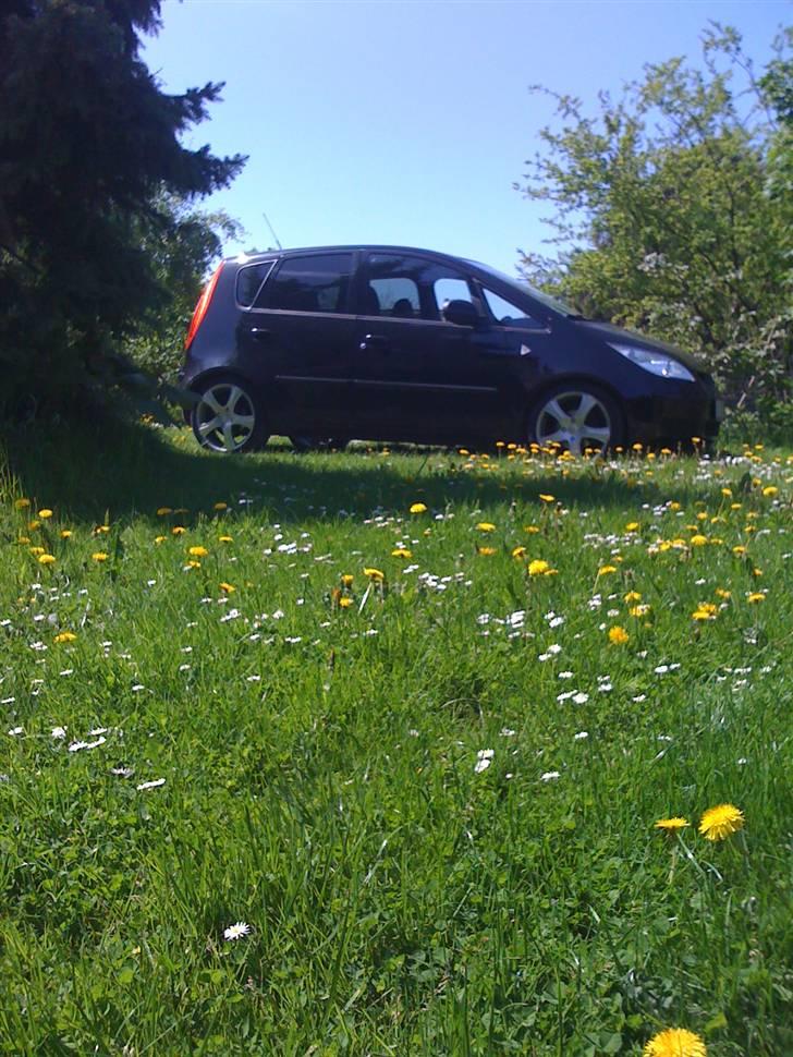 Pinsen i sommerhus - Bilen billede 5