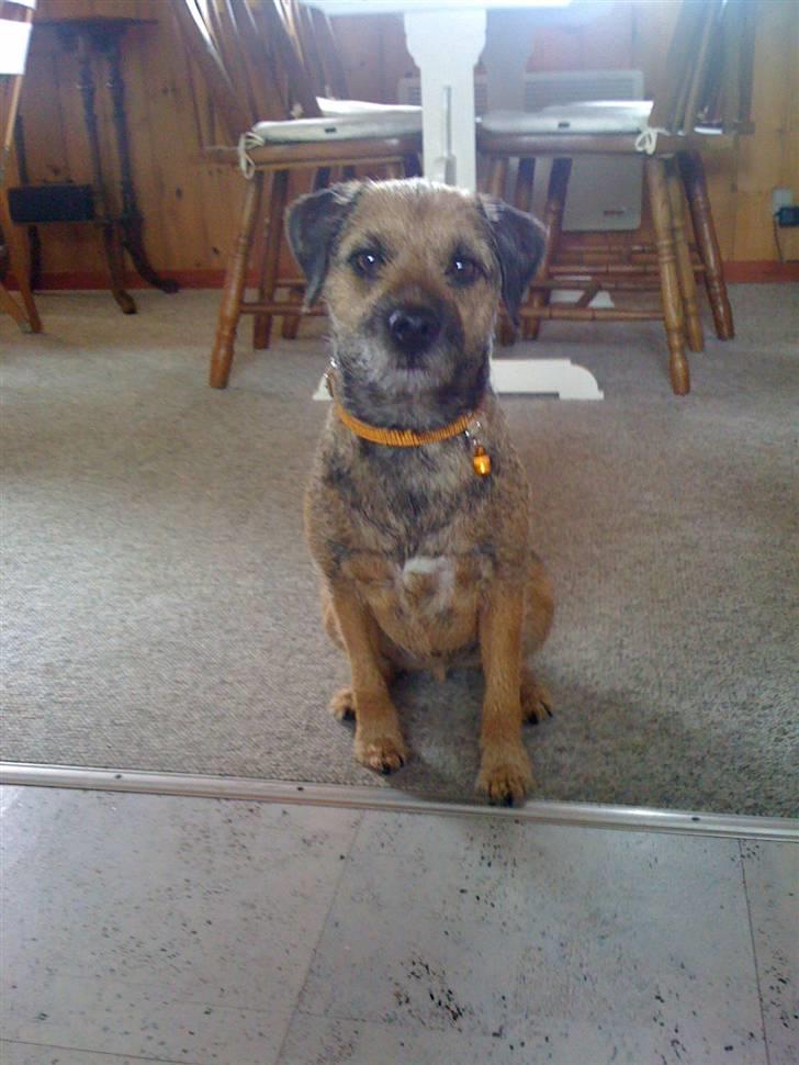 Pinsen i sommerhus - Tiggeprinsen ved hvor man må gå til :-) billede 1