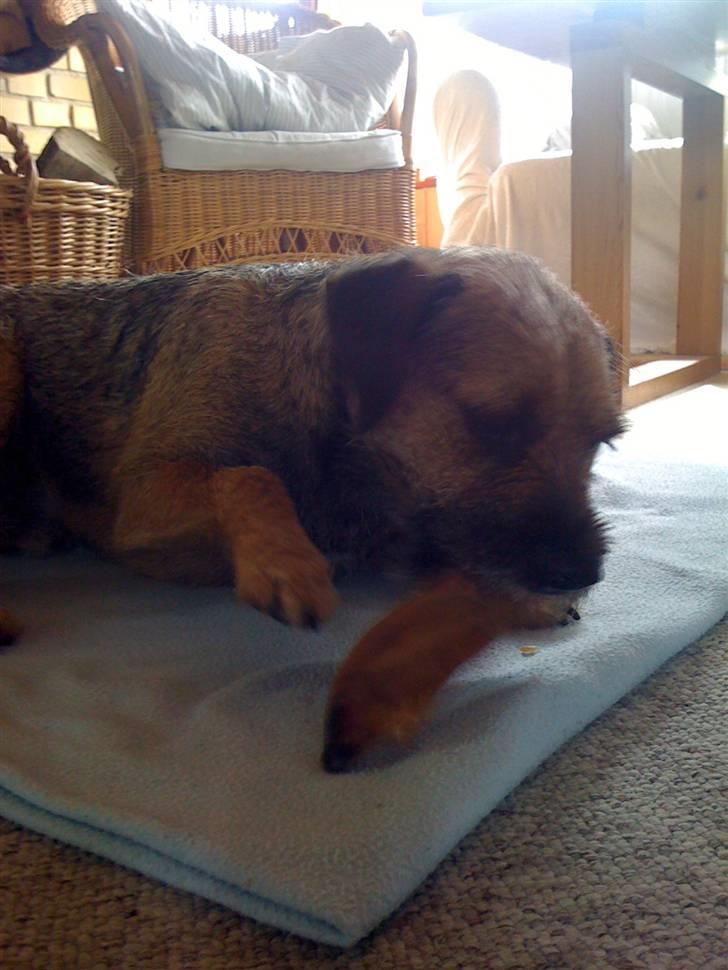 Pinsen i sommerhus - Mmmmm billede 31