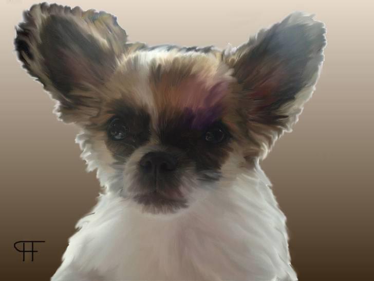 Tegninger af andres hunde - Djemba. billede 302