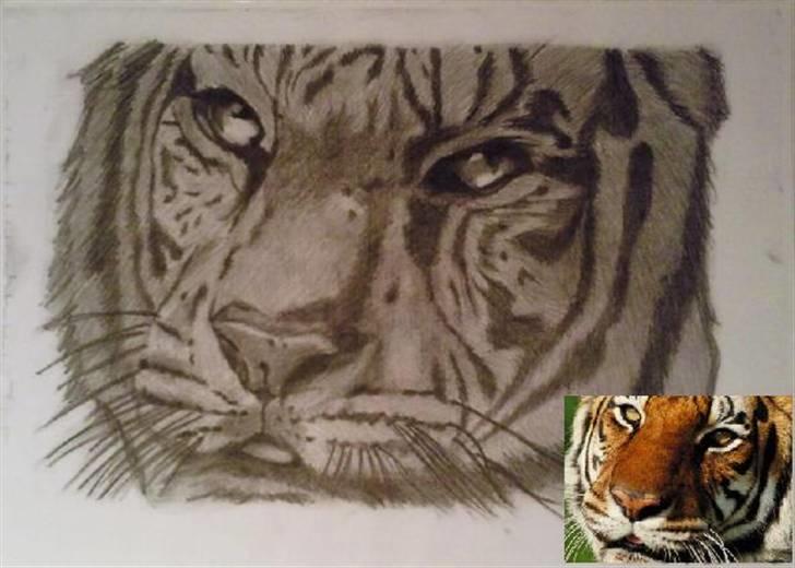Tiger tegning :)  - Det færdige resultat (; billede 1
