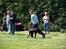 World dog show