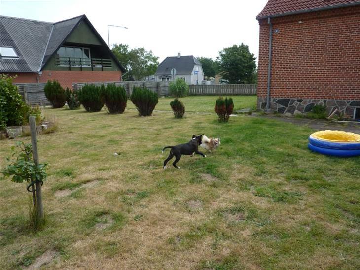 {{currentPhoto.altText}} billede {{currentPhoto.number}}