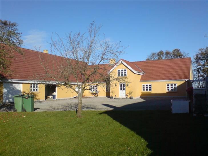 Lidt sjove billeder fra svigerfars hundepension Domus Canis billede 1