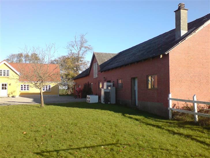 Lidt sjove billeder fra svigerfars hundepension Domus Canis billede 3