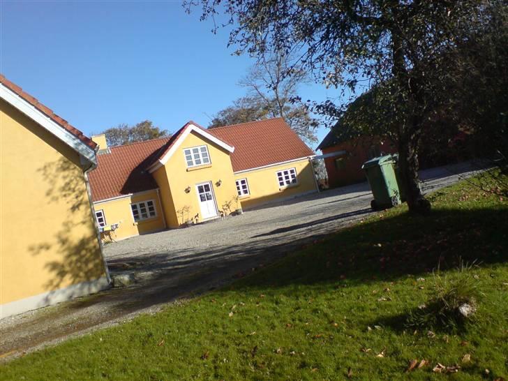 Lidt sjove billeder fra svigerfars hundepension Domus Canis billede 4