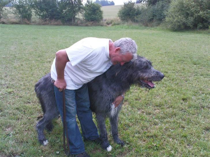 Lidt sjove billeder fra svigerfars hundepension Domus Canis billede 14