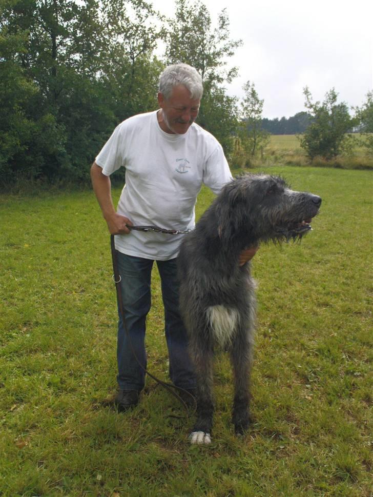 Lidt sjove billeder fra svigerfars hundepension Domus Canis billede 16