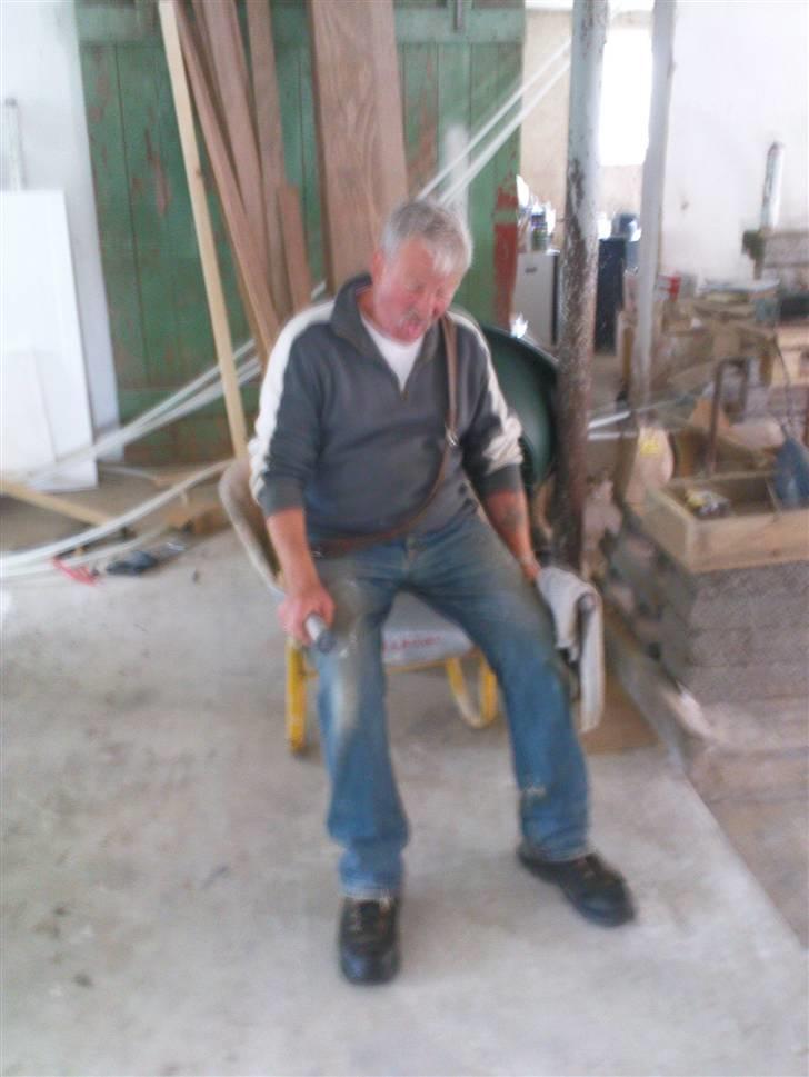 Lidt sjove billeder fra svigerfars hundepension Domus Canis billede 25